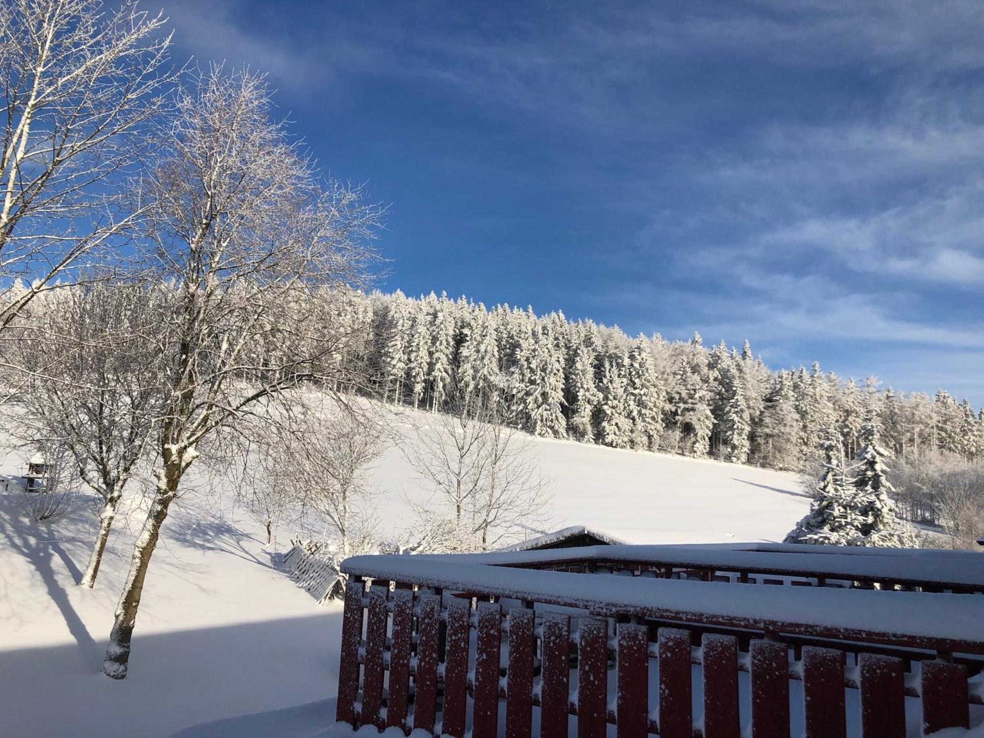 Berghaus Winterberg Hotel Bagian luar foto
